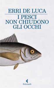 I PESCI NON CHIUDONO GLI OCCHI